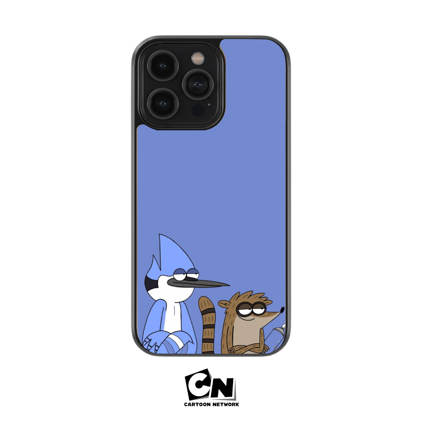 Regular show case 2