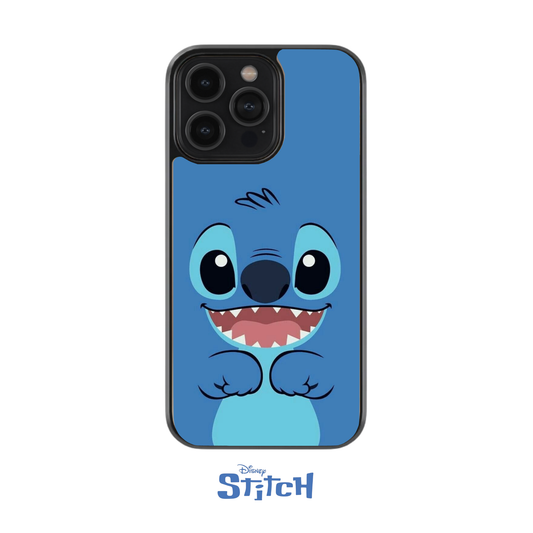 Stitch case