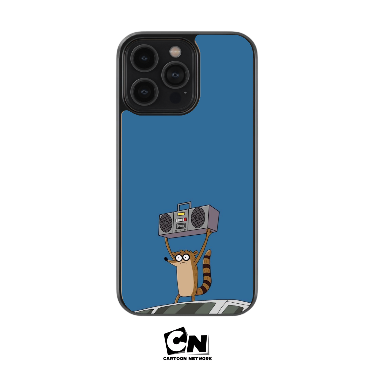 Regular show case 3
